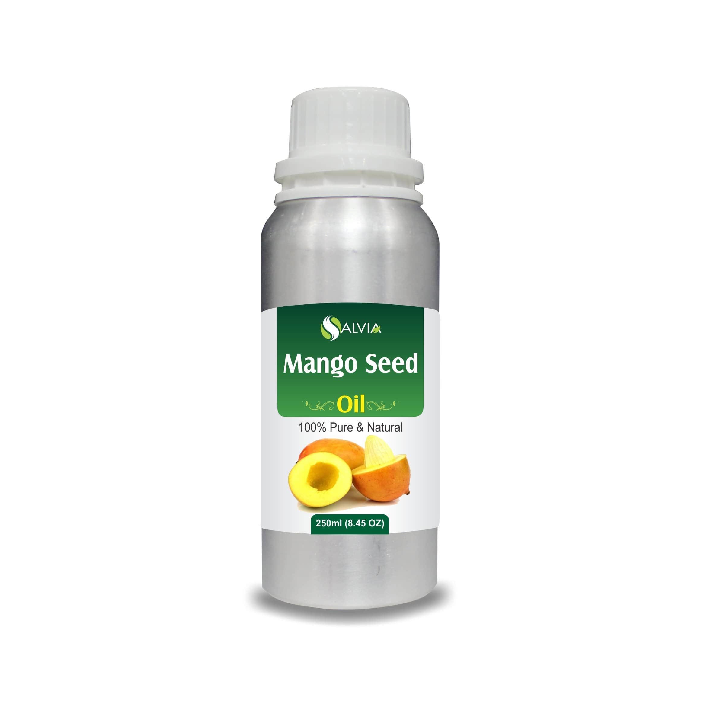 mango seed in english mango seed in english